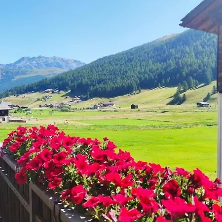 Da Florin Chalet Livigno