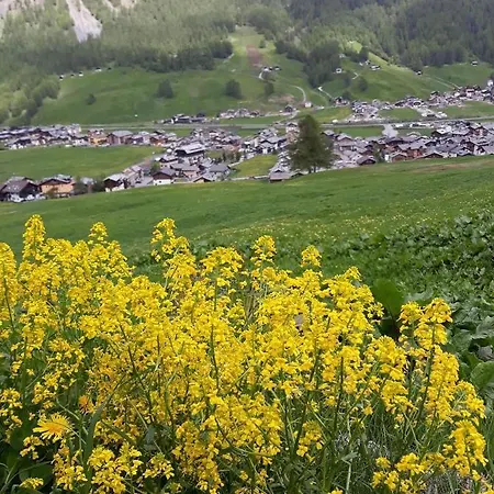 Alpehytte Da Florin