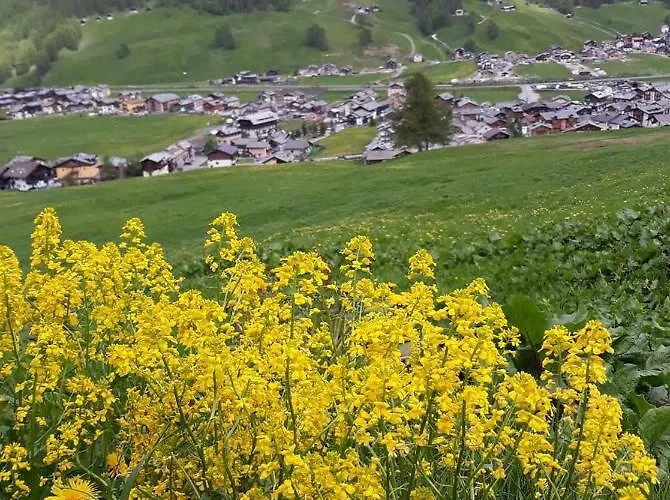 شاليه Da Florin